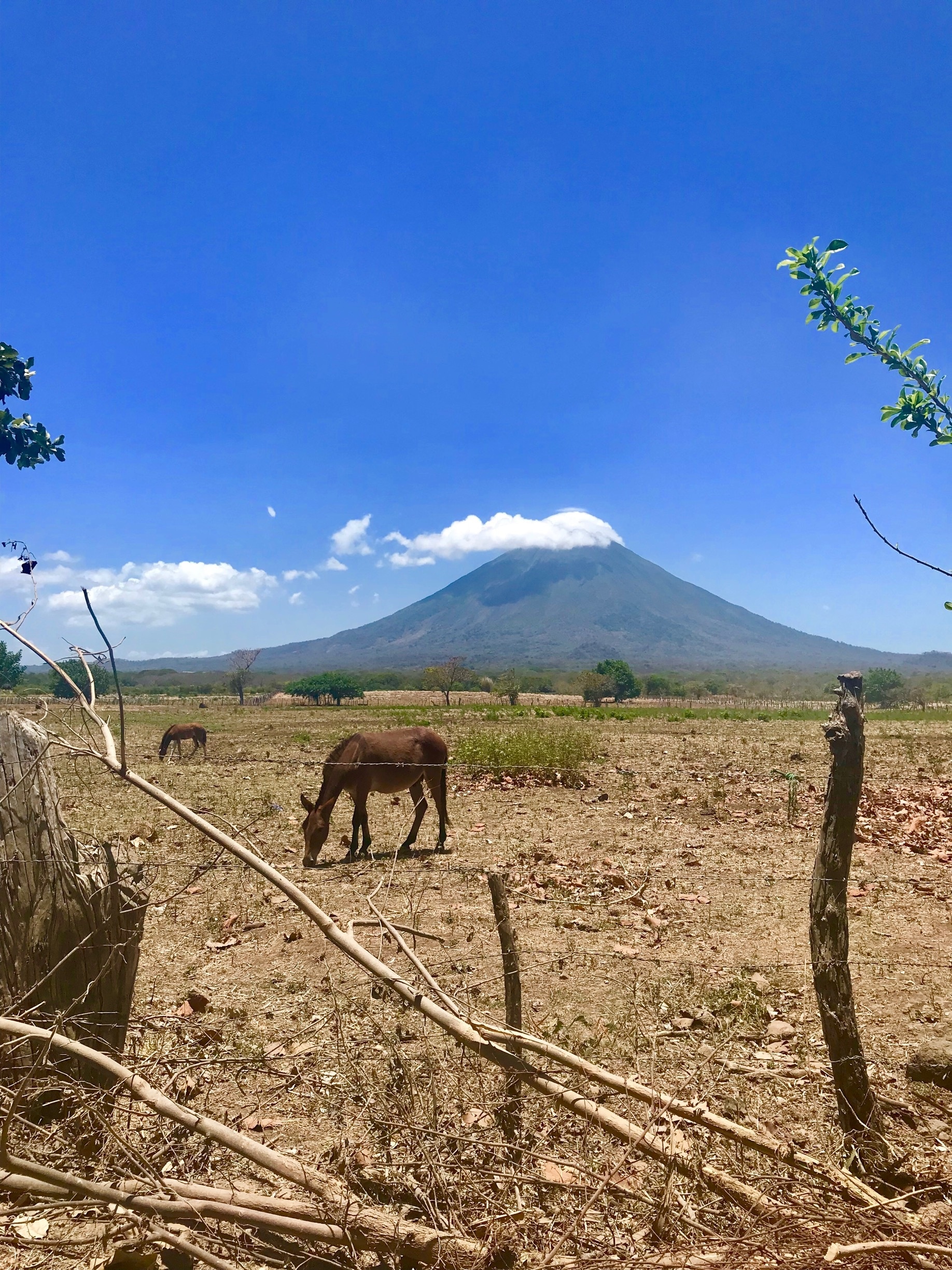 Visit Altagracia 2024 Travel Guide for Altagracia, Altagracia Expedia