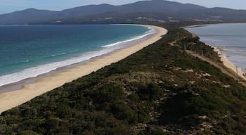 Beautiful Bruny... home to amazing cheese, oysters, wine... all the good stuff. 