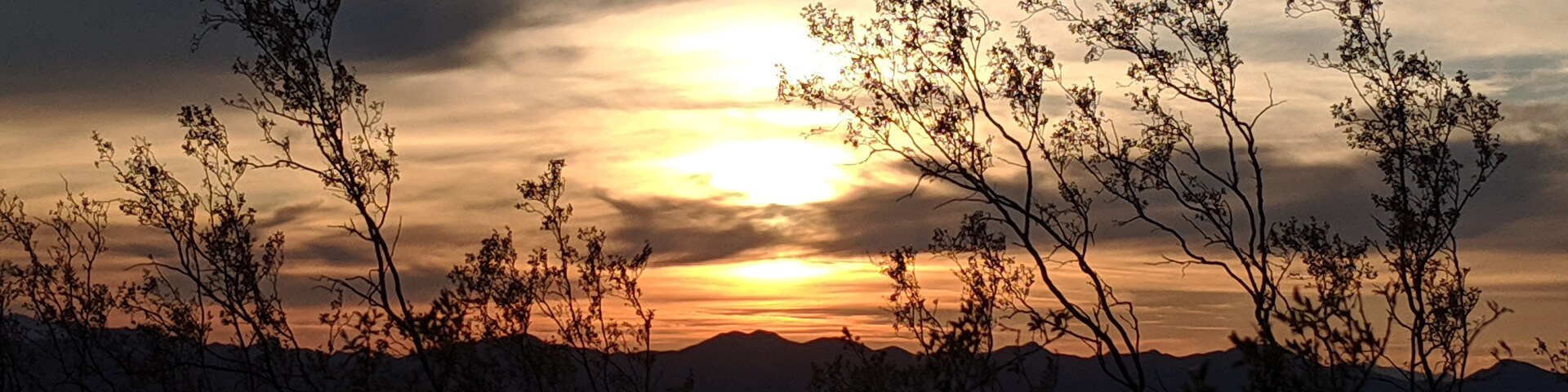 圖森山公園, 亞利桑那, 美國