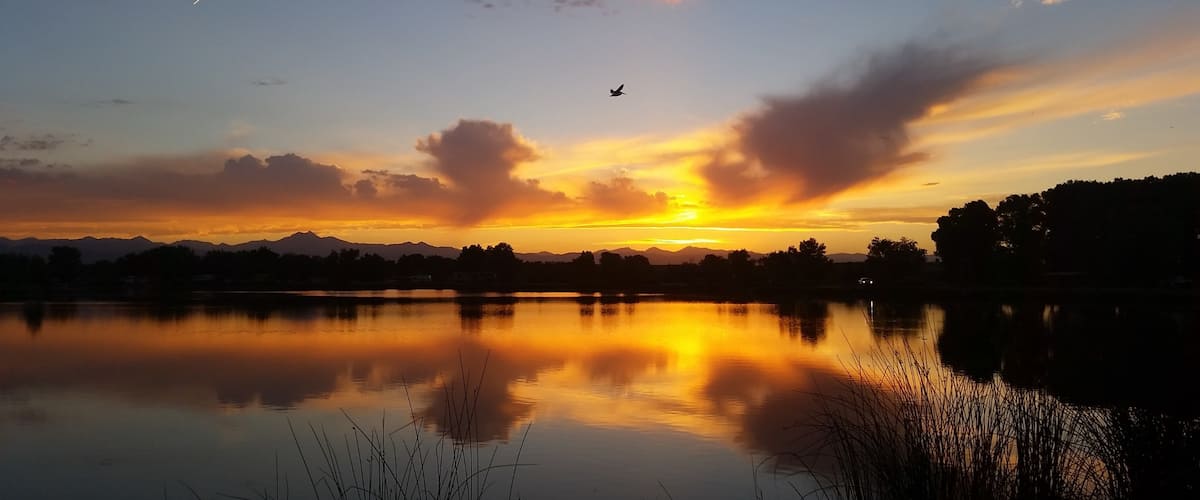 An American white pelican, one of the biggest birds you can observe in North America with its nine-foot wingspan, comes home to roost at 8:45 pm on the longest day of the year at St. Vrain State Park in Longmont, Colorado. Pelicans breed every summer on this inland prairie reservoir with a backdrop of the Rocky Mountains. A life of traveling and working via motorcoach full-time allows us to discover such wonders.
#UStravel #RVlife #Colorado #birds #wildlife #solstice #summer #sunset #statepark #pelican #sky #colorful