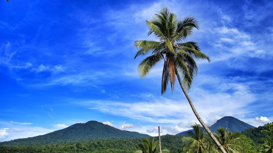 • Gunung Dua Saudara •
In English it is literallly translated as Two brother/sister mountain. I know it sounds ridiculous!
People name this mountain Dua Saudara because there are two mountains next to each other. Not far from these mountains there is Mount Klabat, the highest mountain in Minahasa Peninsula of North Sulawesi.
This area is protected by government to provide home for wild animals that only can be found in Sulawesi, such as Tarsiers, Macacas Nigra, and others.
The famous wildlife area is Tangkoko nature and wildlife reserve. It attracts volunteers from around the world to help locals protect and study these unique animals, such as documenting, providing medicines, campaigns and taking care of these unique animals.
If you are a nature enthusiast, this area is an exciting destination. For more information, you may look it up on the internet, Batuputih, Tangkoko nature and wildlife reserve.
Accommodation is very basic if you decided to stay in this area. But there are several nice cottages along Lembeh Straits, where is near from Tangkoko nature and wildlife reserve.
What to do?
There are plenty of beautiful sites in this natural reserve including beaches, jungles, waterfall, mountains and others but you will need a guide to guide you in this wilderness. Furthermore, since it's located near Lembeh Strait, diving is a must.