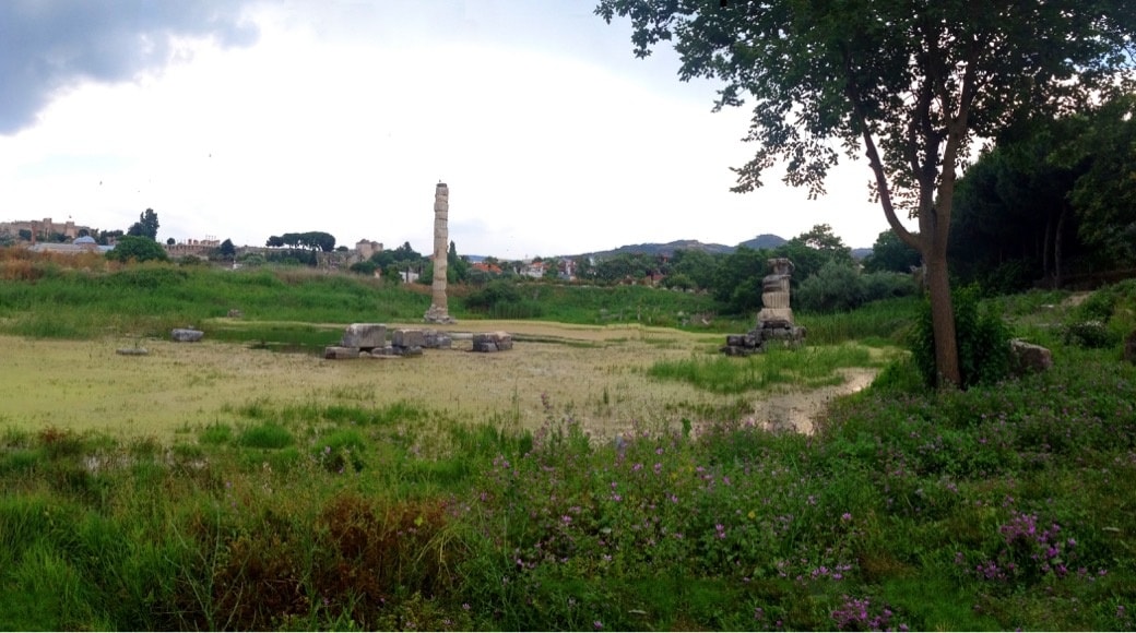 Temple of Artemis, Selçuk, Izmir, Türkiye