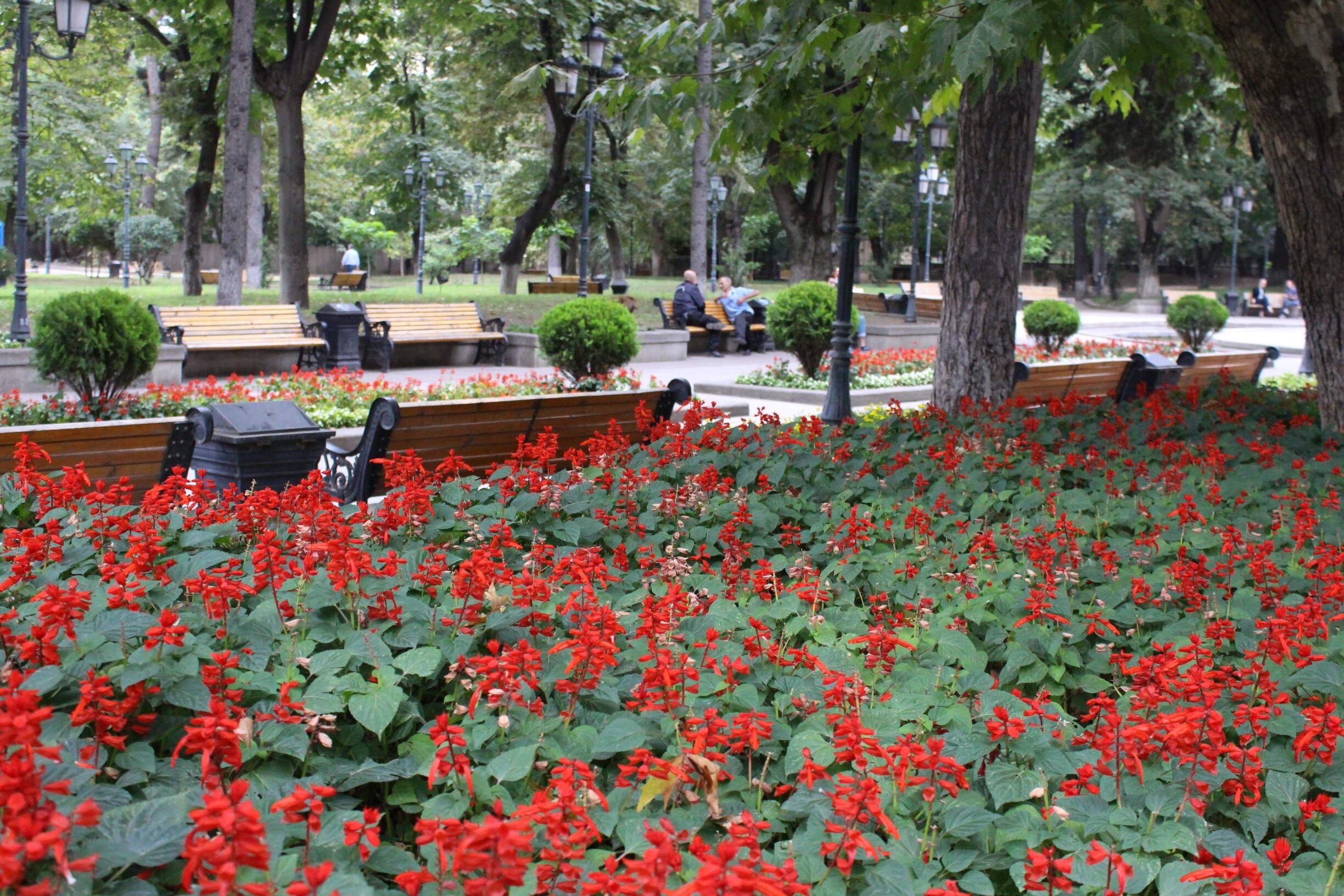 Pushkin Park, Tbilisi, Georgia