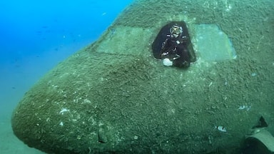 A sunken Airbus cargo plane lies 18 meters deep just off the coast of Kusadasi, Turkey. This incredible dive site acts as an artificial reef, and attracts wildlife back to the area. 
#LocalSecrets #Turkey #SCUBA