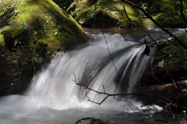 Just a little waterfall during our hike