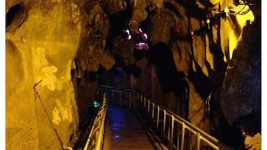 This cave is worth exploring. Better yet engage a guide to walk through tin mine's tunnel and along the river. Gua Kelam is about 30 mins away from Kangar town. 