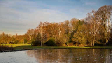 Frozen lake in the city gardens. 