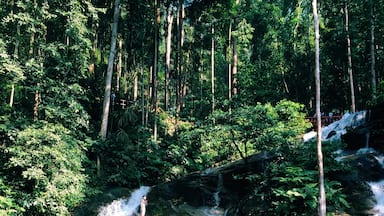 Nice waterfall to visit if only it's clean. I wish visitors are more civic minded and the operator more diligent in keeping this place clean. After all we paid entrance fees. 