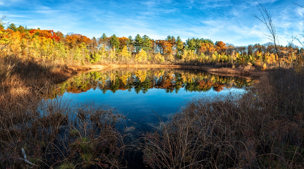 Ward Reservation, Andover, Massachusetts, United States of America