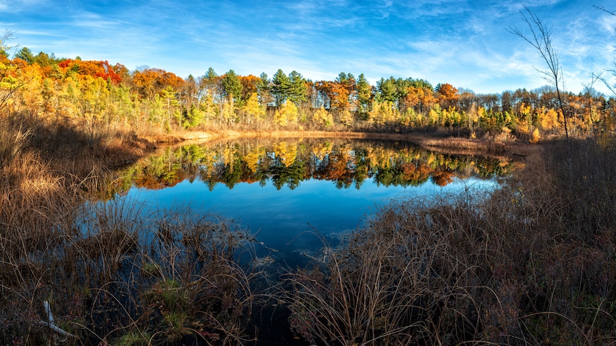 Ward Reservation