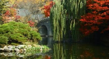 The pond leading into the temple grounds