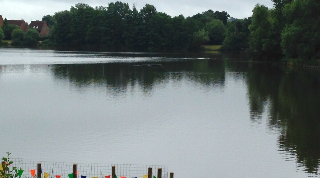 Photo de Veronica Oliveira