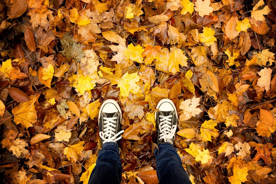 I'm in Quebec!!! I'm so excited to spend the week photographing Fall colors in Quebec Canada. Lots to share on the coming days I'm sure. Any tips?