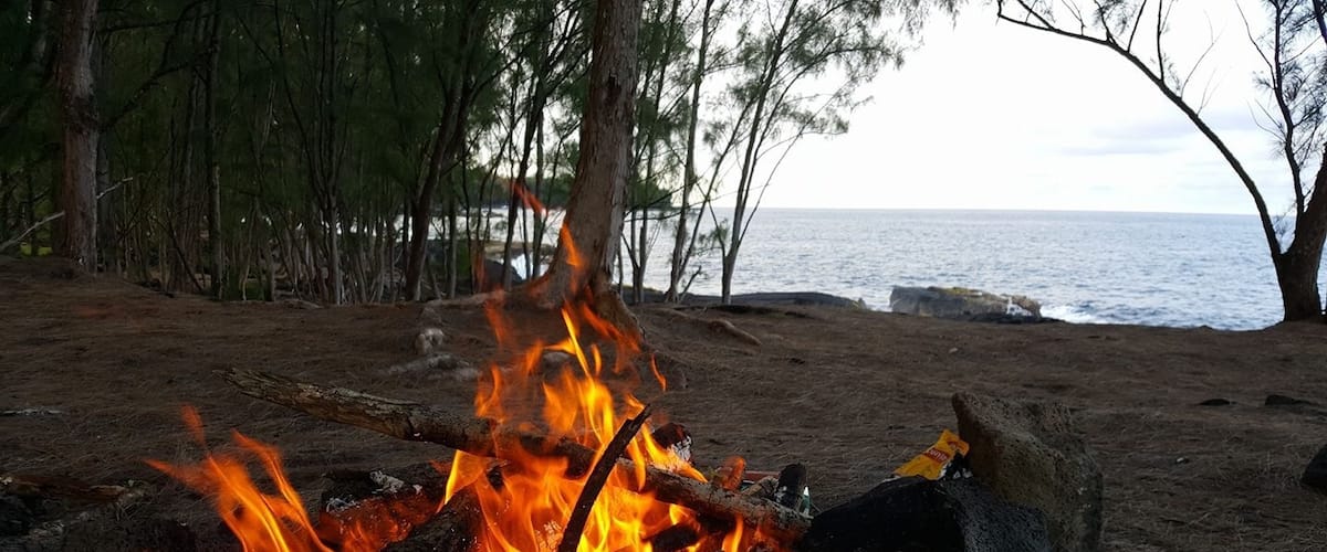 The perfect place for a picnic or to camp out!! Make sure you bring the marshmallows and build a little fire, and watch the shooting stars all night!! Taking a leisurely walk down to the beach and see the sea turtles! Beautiful and relaxing walk!Open some coconuts and pick some mangoes because this is going to be a night to remember!