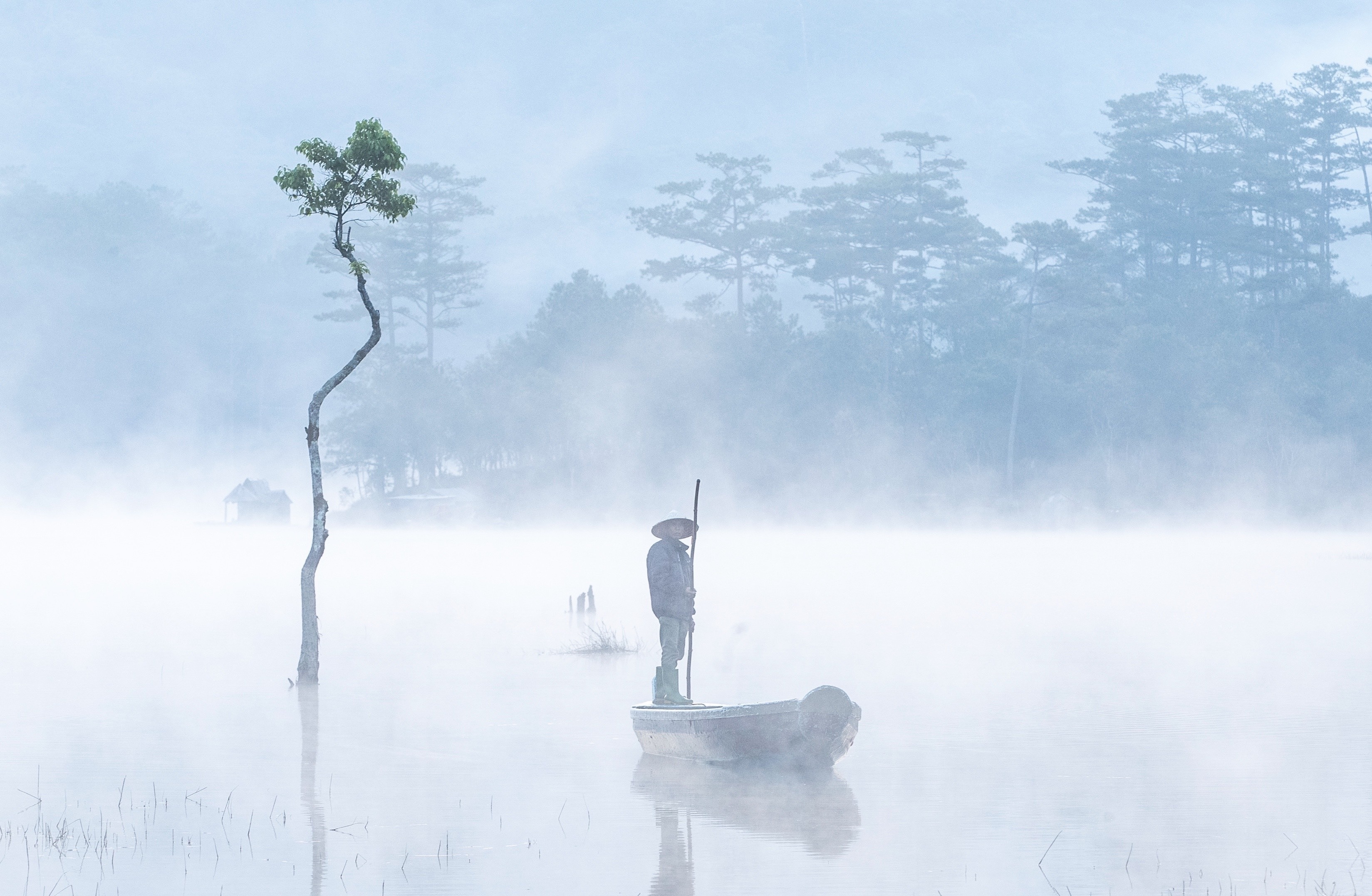A Lonely tree at Tuyen Lam Lake. This place has been recognized by National Geographic in 2017 .
Get there 45 before sunrise & between December thru mid April for the mist. And if you’re lucky enough you’ll catch some local fishermen rowing around