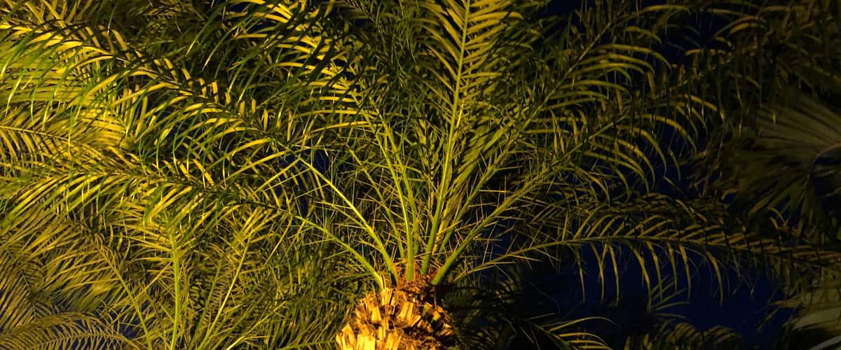 Walking the neighborhood and looking for different perspectives. #Perspective Photo Contest.