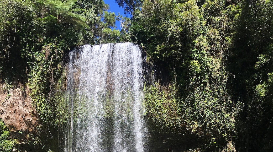 Millaa Millaa Falls, Millaa Millaa, Queensland, Australia