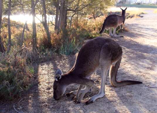Perth, Australia Occidental, Australia
