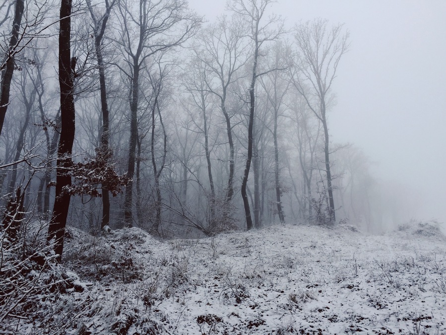 Driving to Cluj using the new detour and with high probability every winter morning looks foggy like this! Stop and shoot it!
