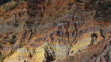 While driving in the early morning from Riffle to Meeker, this mix of old wearing mountains and modern power-lines just struck me.

The sun just lit the face with the raged edges right, and the power-lines just in front is a remainder that it is the new power.

I think it is #Golden with al the vibrant yellow of the rock layers.