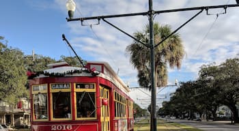 Explore New Orleans on an iconic streetcar.  Hop off and on to explore neighborhoods.