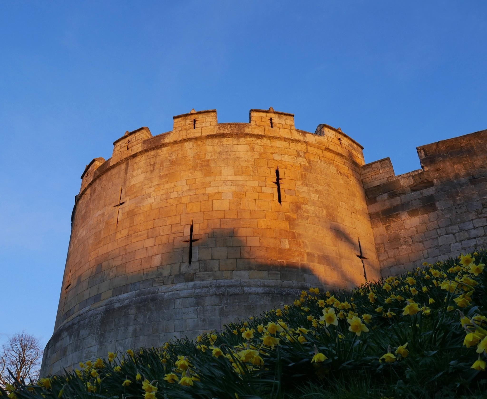 Beautiful light as the sun sets on the ancient Roman walls that surround York city centre. 