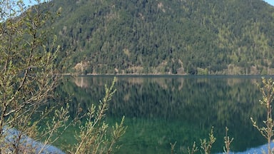 #torveon I want to live on the Olympic Peninsula just to be closer to this lake! The water is brilliantly clear - truly one of my happy places!