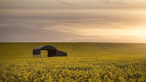 Foto van Rich Wiltshire