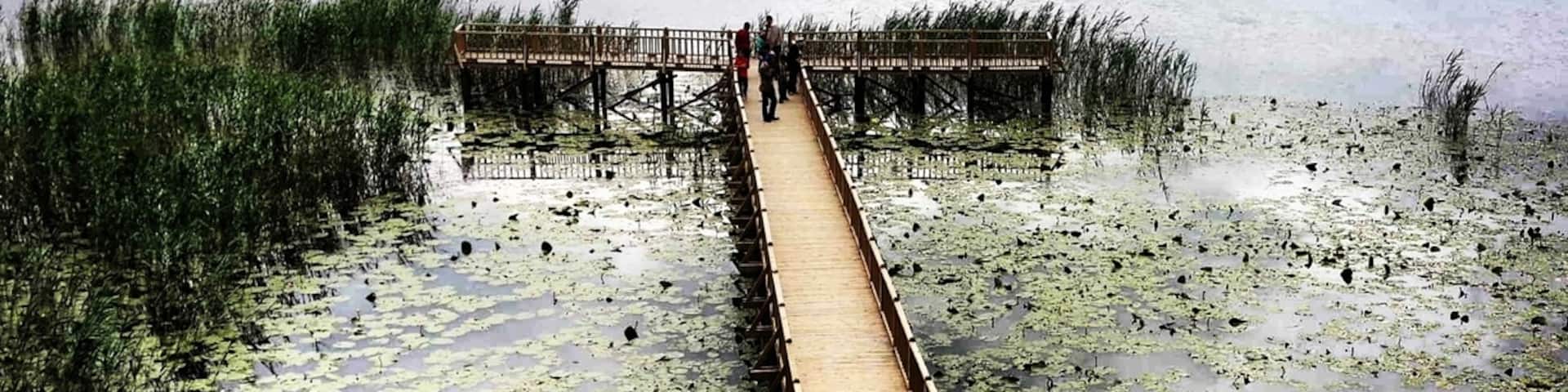 Efteni Lake is very close to Duzce city Center. The city is well-known for its natural beauties. The lake has a spectacular view in spring with the sharp colours and green lilies. It is a home for immigrant birds. There is a wooden watchman hut of 3 stories and people climb up to catch this beauty with cameras ;) enjoy D?zce!
