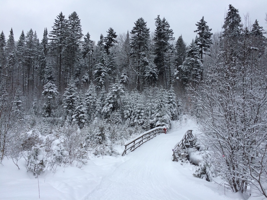 Ski de fond!