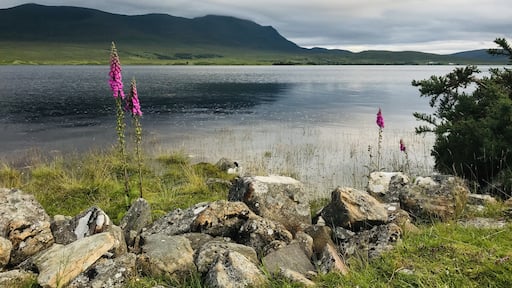 Valokuva: Phyllis Robb