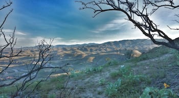 View of the Boise foothills from the Table Rock trail.

The trail is in an ideal location adjacent to downtown Boise. The area has lots of trailheads alongside a fun and vibrant urban scene. Boise truly  has the best of both worlds.