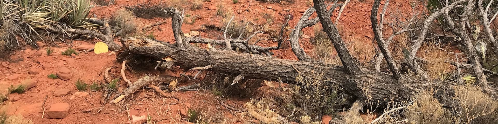 Great hiking near Sedona Arizona.