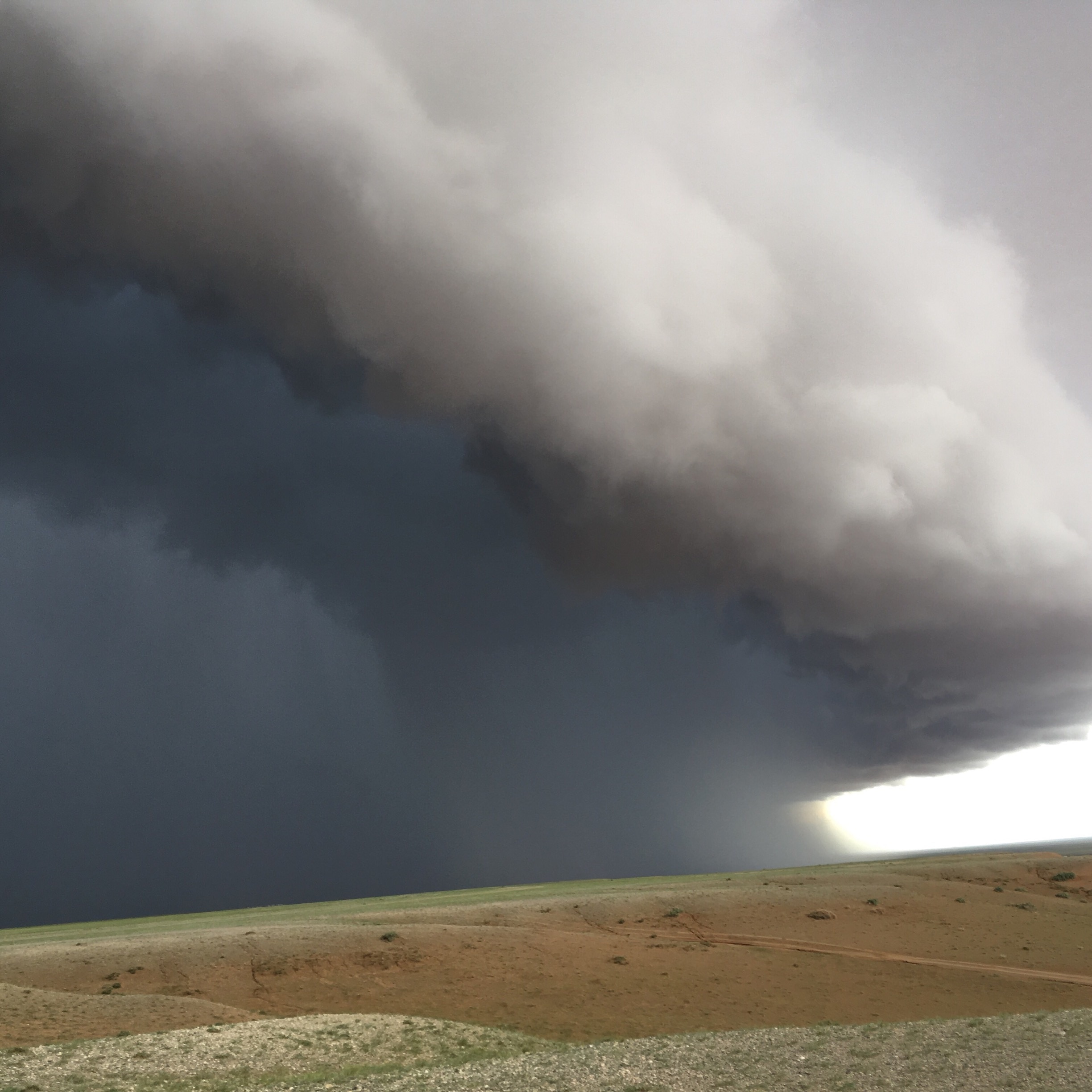 Foto av Marion MacQueen