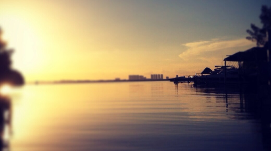 Foto oleh CLAUDIA BAL 🌻