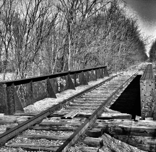 I found this cool old iron bridge over the river on the abandoned railroad tracks running adjacent to the park I came across.
#Michigan #PureMichigan #Railway #Railroad #Train #TrainTracks #abandoned #BlackandWhite #BandW