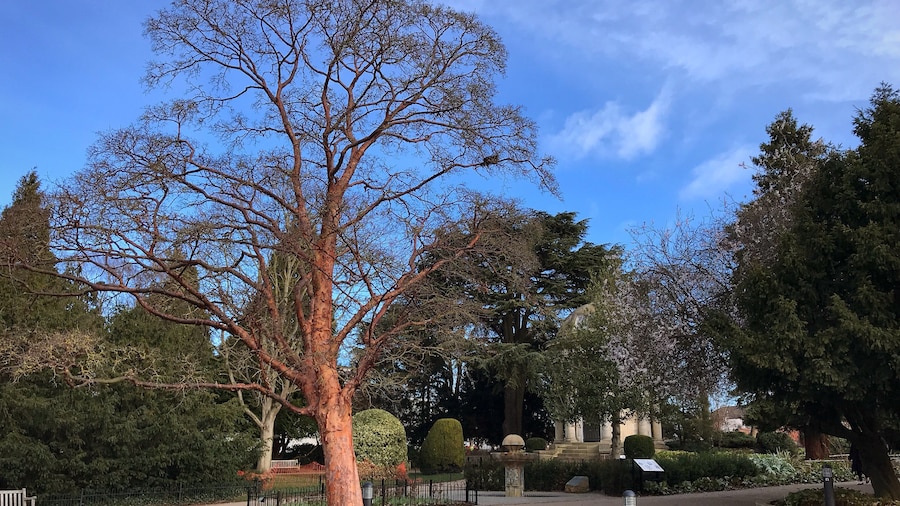 Jardines de Jephson