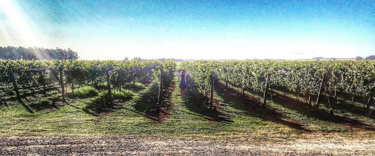 Bodega Costa & Pampa