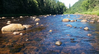 Shallow fresh river#lifeatexpedia