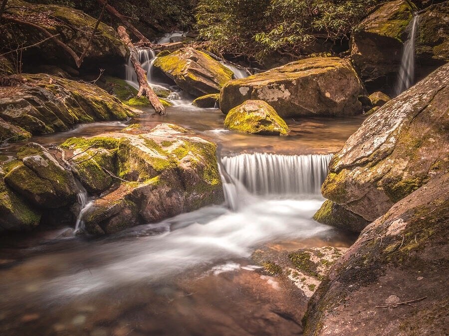 Salisbury, NC, US holiday cabins & more Stayz