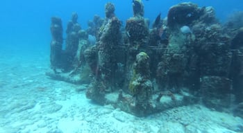 Loads of fun in diving in MUSA. Not common to find an underwater museum. Even if it has been sat up only in 2013, you can see that nature is already taking the space for itself and loads of corals are already growing on the statues.