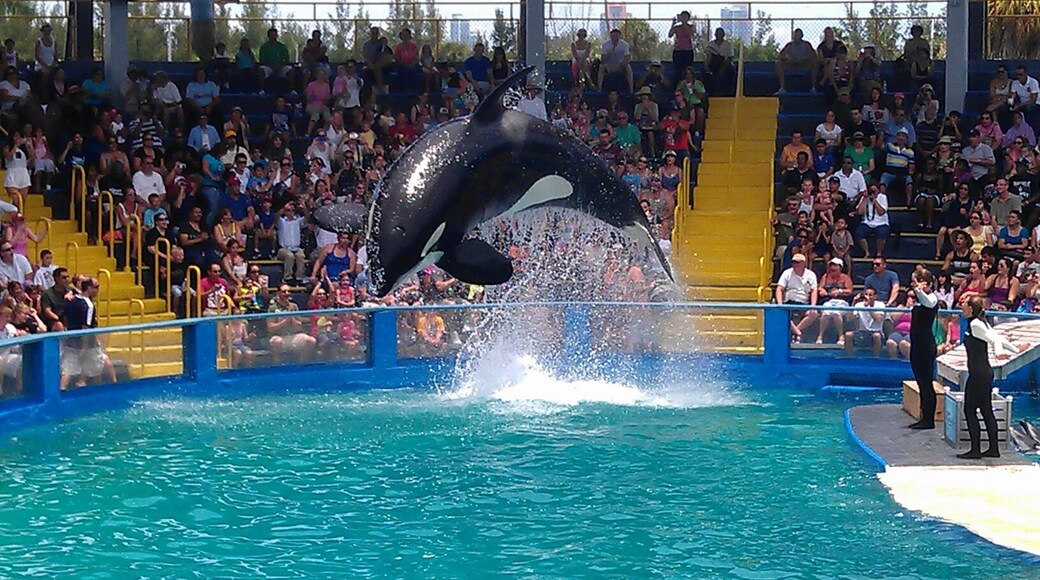 Acuario y zoológico Miami Seaquarium, Key Biscayne, Florida, Estados Unidos
