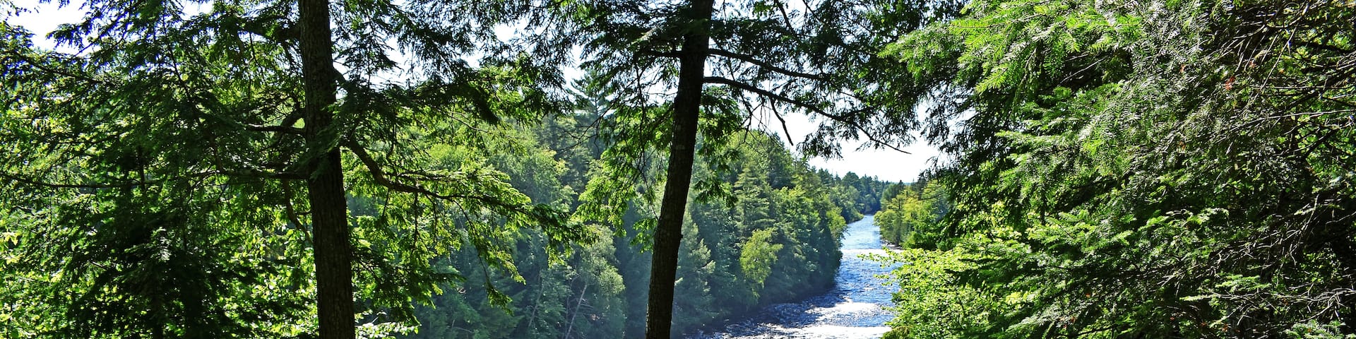 The Upper Tahquamenon Falls are 50 feet high, 200 feet wide and passes 50,000 gallons of water per second.  The water is notably brown in color from the tannins leached from the cedar swamps which the river drains. Consequently, the upper fallsare nicknamed, "The Root Beer Fall".