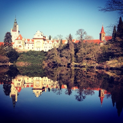Botanical gardens and castle just outside of the inner city. Definitely worth a visit if you're in Prague! #blue