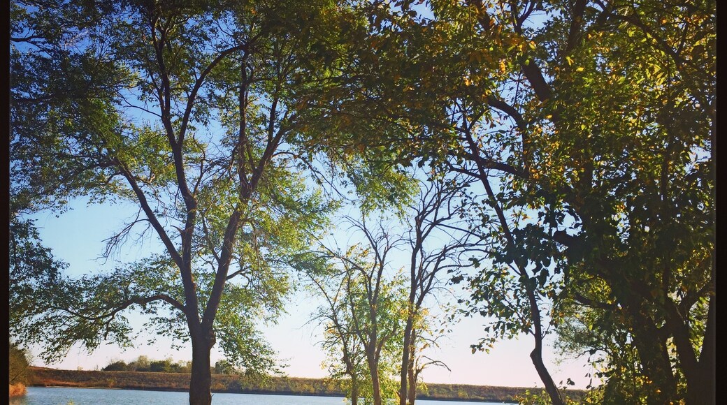 Photo by Erick Huling