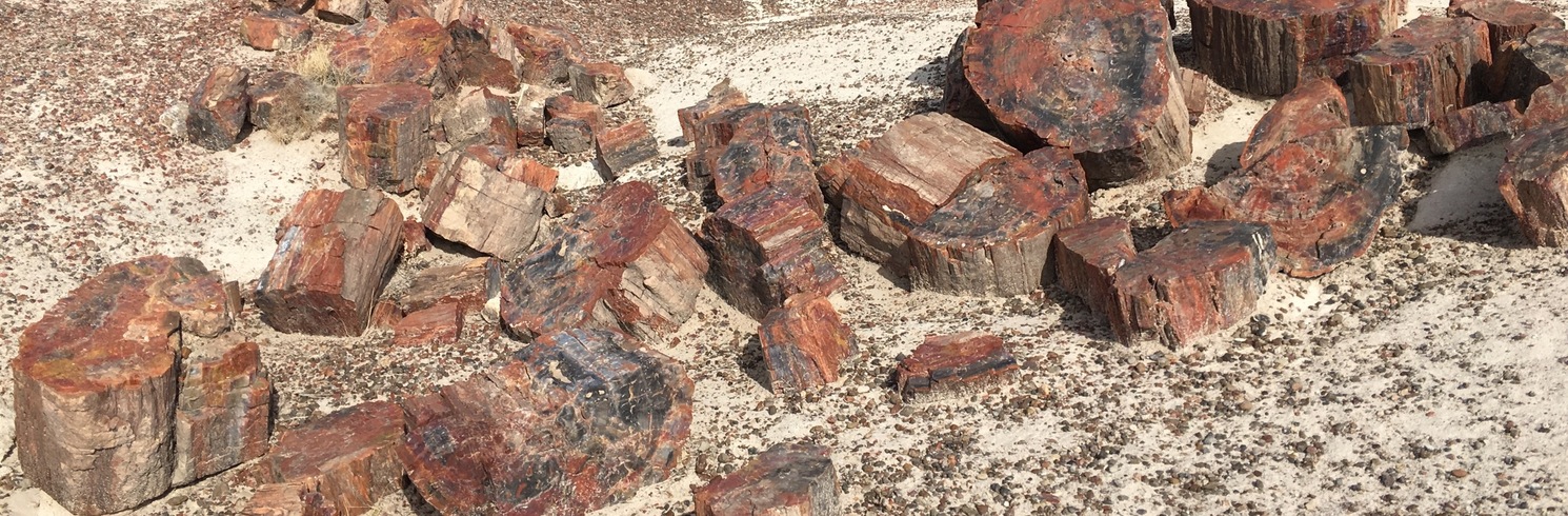 Chambers, Arizona, Verenigde Staten
