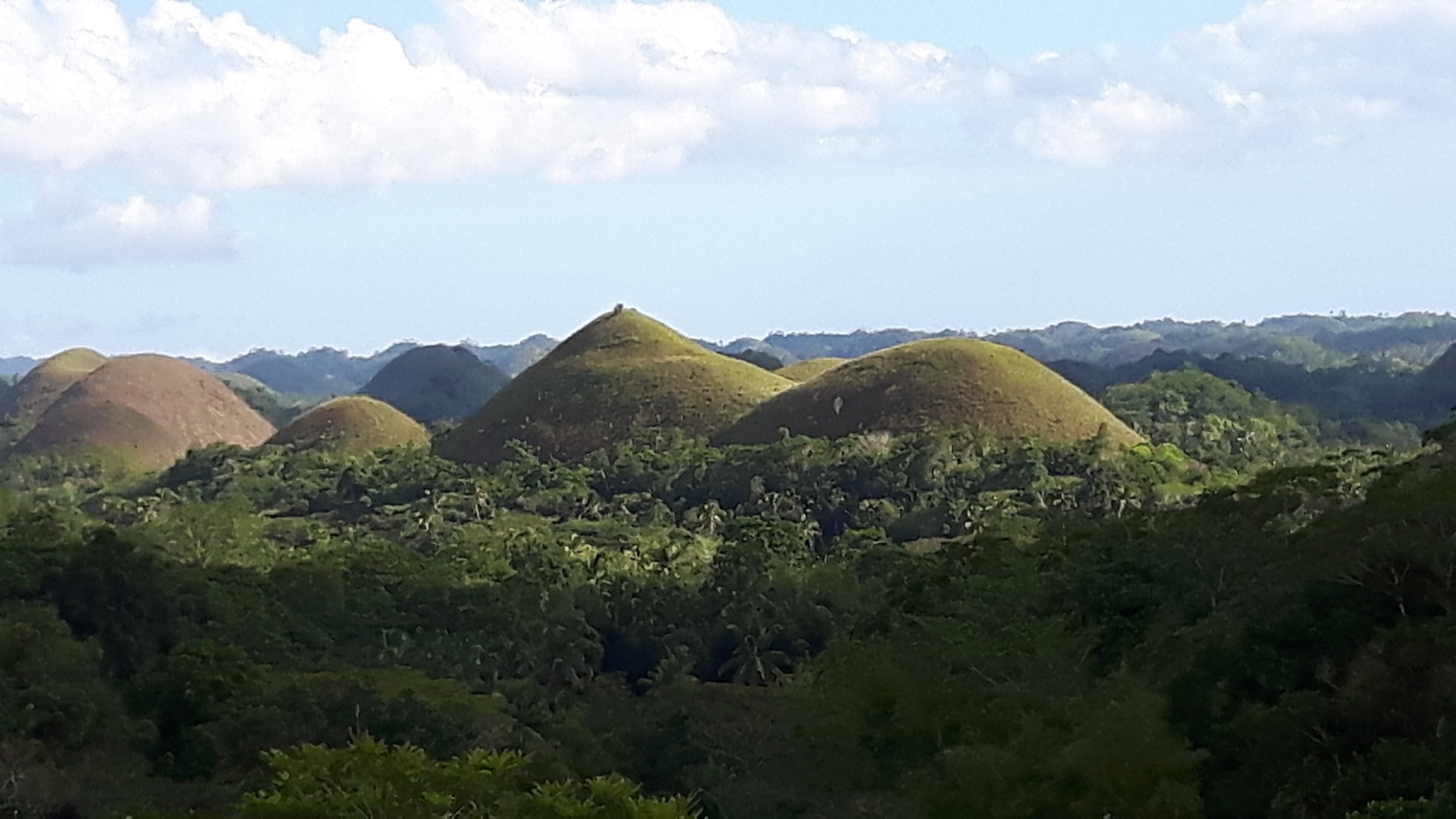 Chocolate Hills in Central Visayas - Tours and Activities