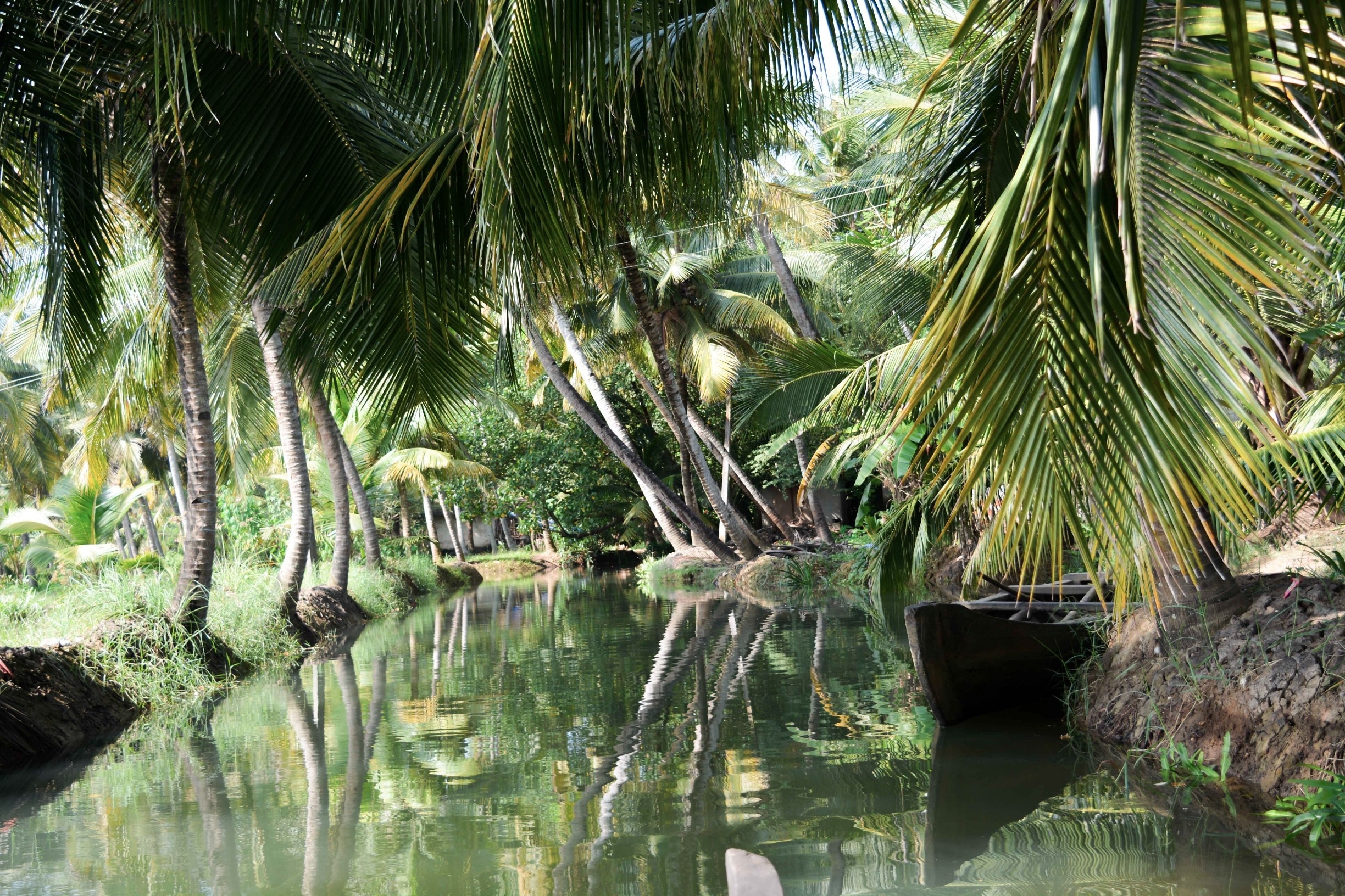 An unforgettable day cruising through the Kollam backwaters on a canoe

#Green