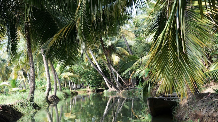 Lago Ashtamudi