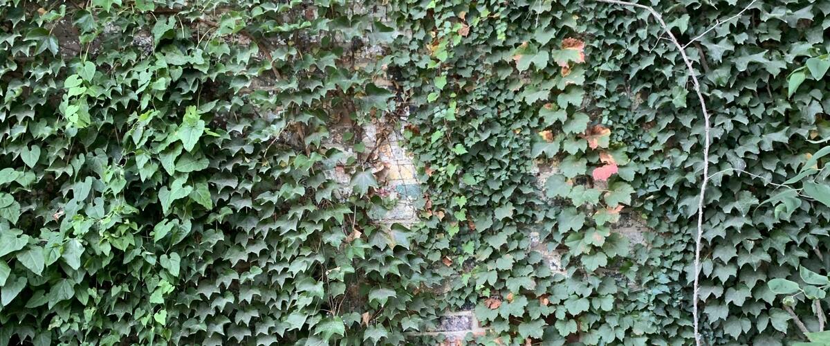 Corner of Alabama & St Joseph